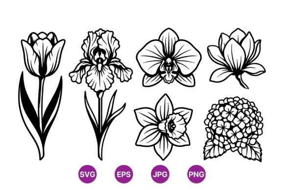 Download Elegant Black Line Flower Illustrations - Elegant Collection